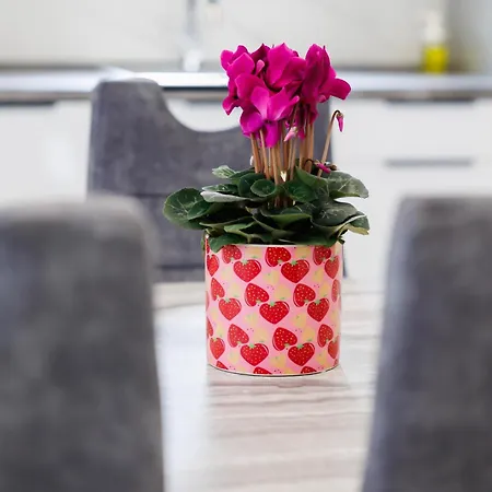 Apartamento Three-bedroom Dina *